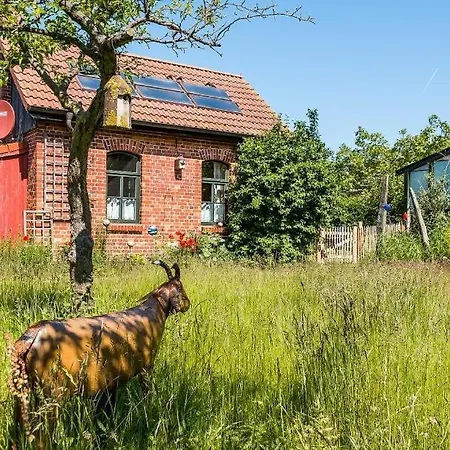 Alte Tischlerei 02 * Wustrow (Fischland)